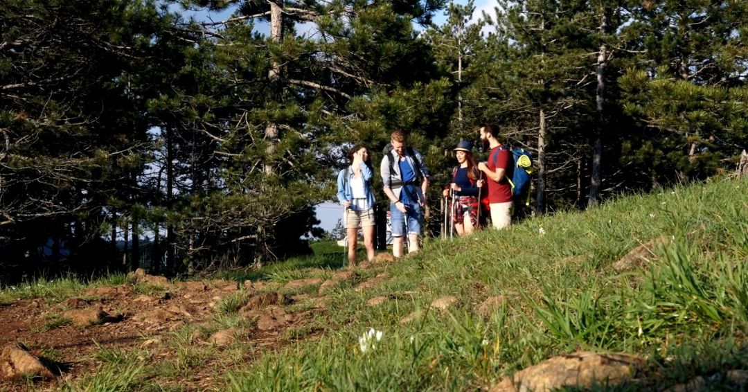 Kako organizovati team building u etno selu